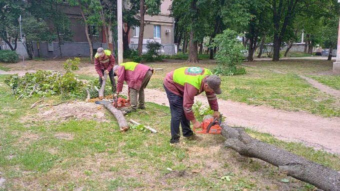 У Харкові прибирають повалені дерева після буревію